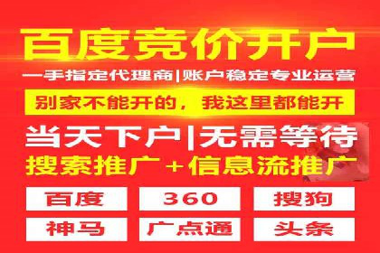 行业新秀的SEM托管代运营之路