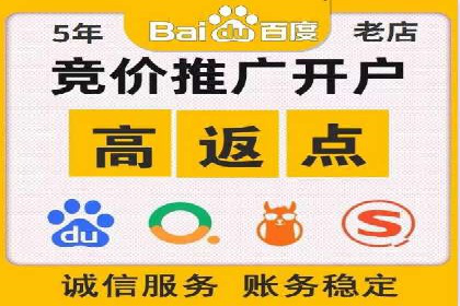 谷歌竞价广告的投放策略与成功案例分析